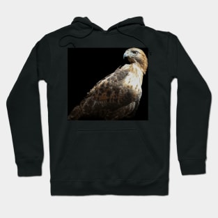 Golden eagle portrait. Hoodie